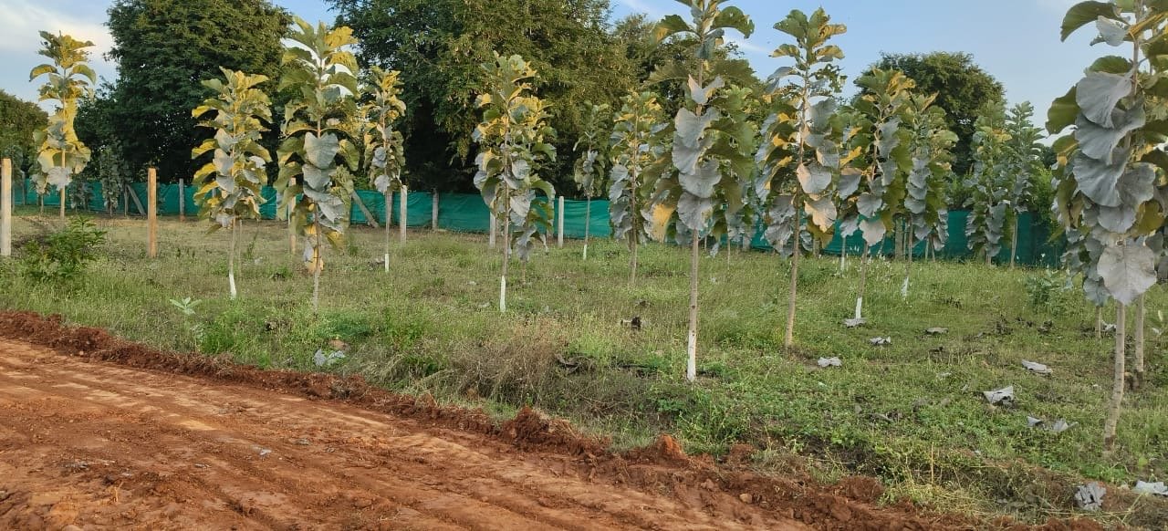 Panchavati Smart Farms